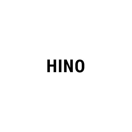 Chip Tuning Hino